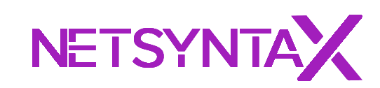 NetSyntax logo